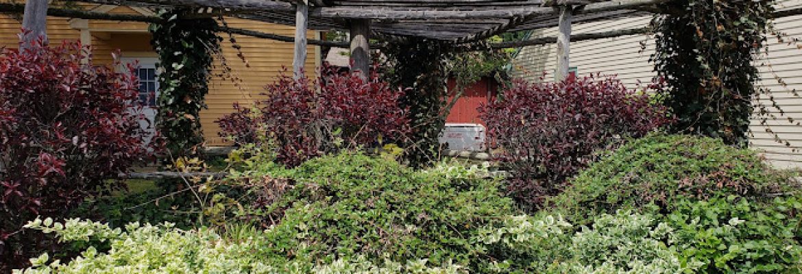Garden Specialties