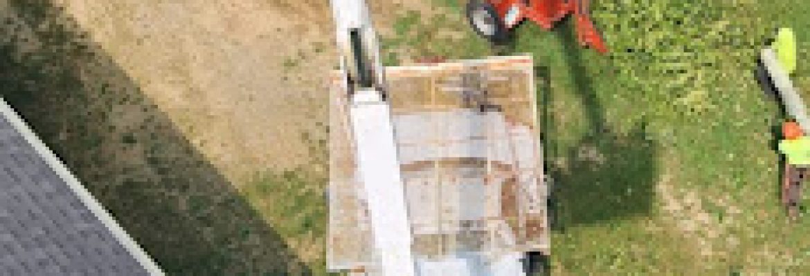 Connecticut Tree Service
