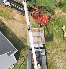 Connecticut Tree Service