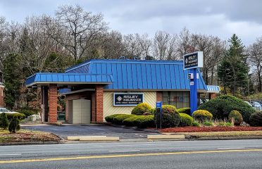 Risley Insurance