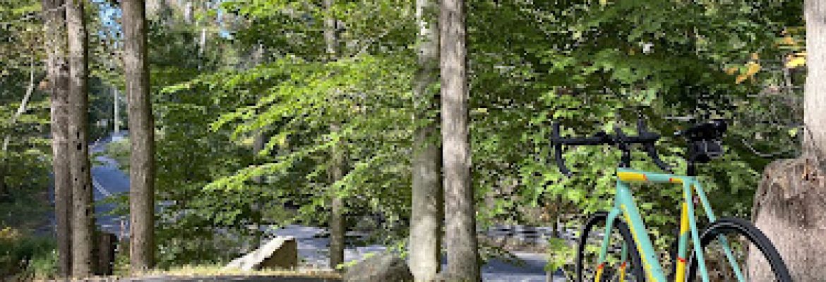 Mianus River State Park Scenic Reserve
