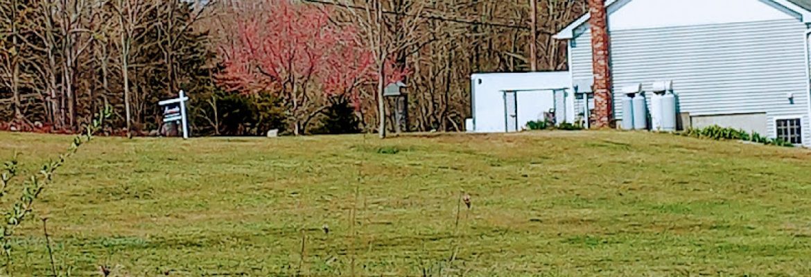 EastCoast LawnCare LLC.