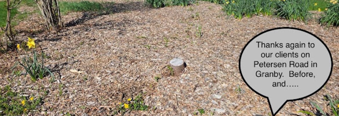 Family Tree Stump Grinding LLC
