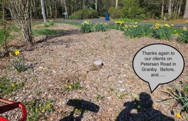 Family Tree Stump Grinding LLC