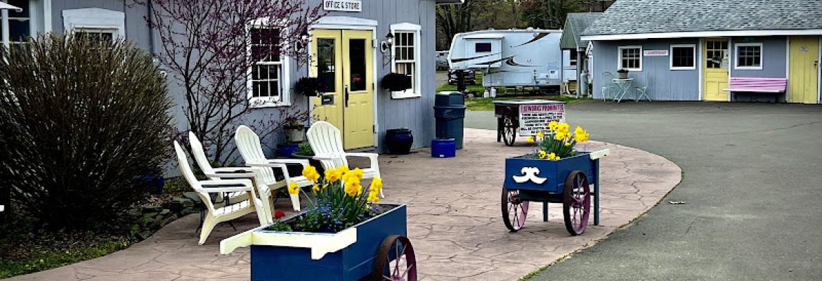 Riverdale Farm Campsite