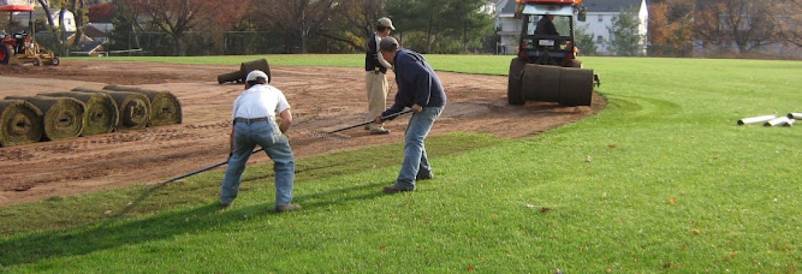 Athletic Field Services LLC