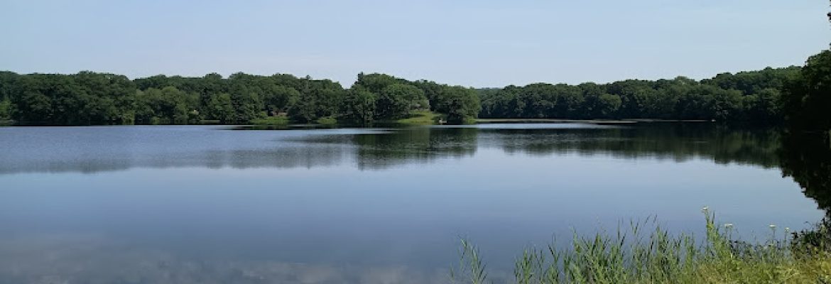 Savin Lake Park