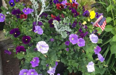 Thyme To Plant