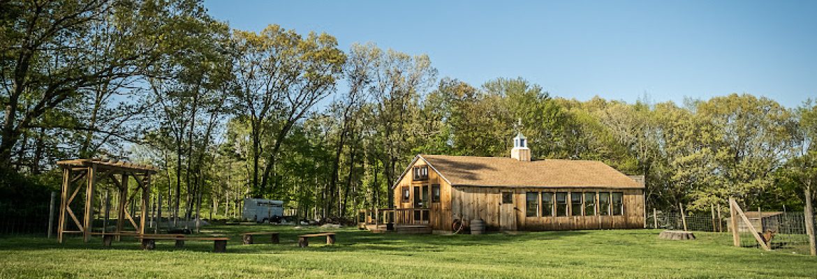 Bluebird Farm