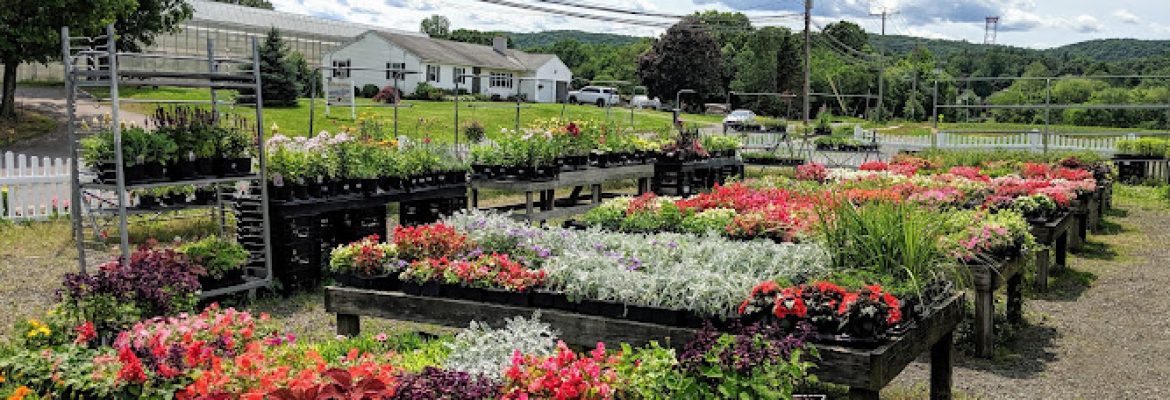 Zentek Farms