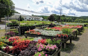Zentek Farms