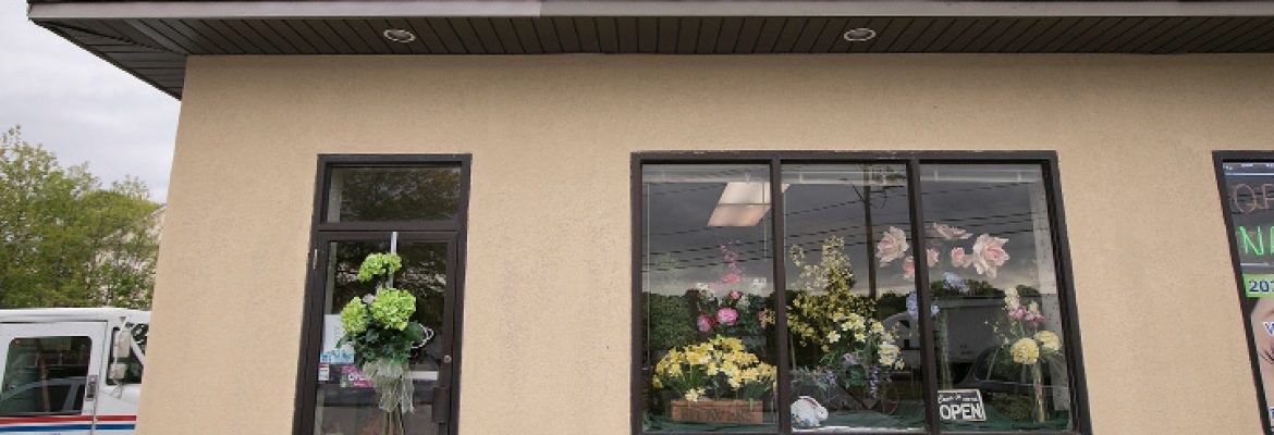 Shades of Green Florist