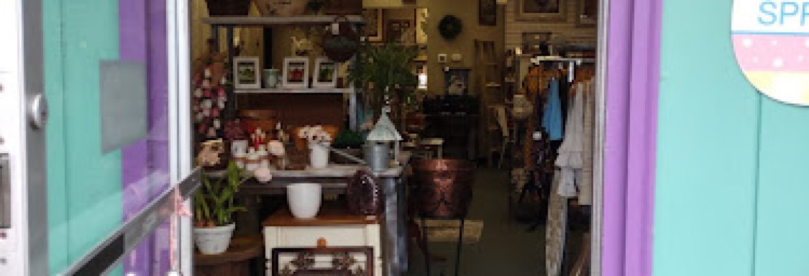 Molly Rose Consignments