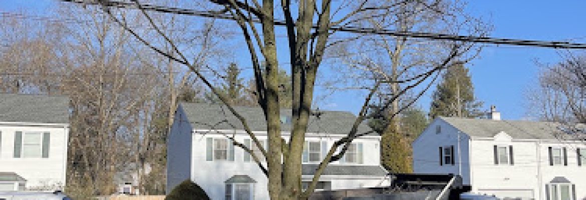 Sullivan & Son Landscaping Management