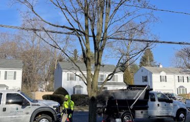 Sullivan & Son Landscaping Management
