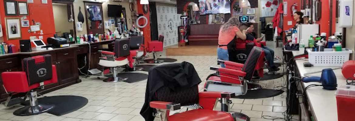 Evolution SD Hairstudio