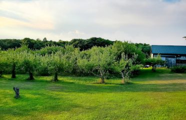 Smith Farms