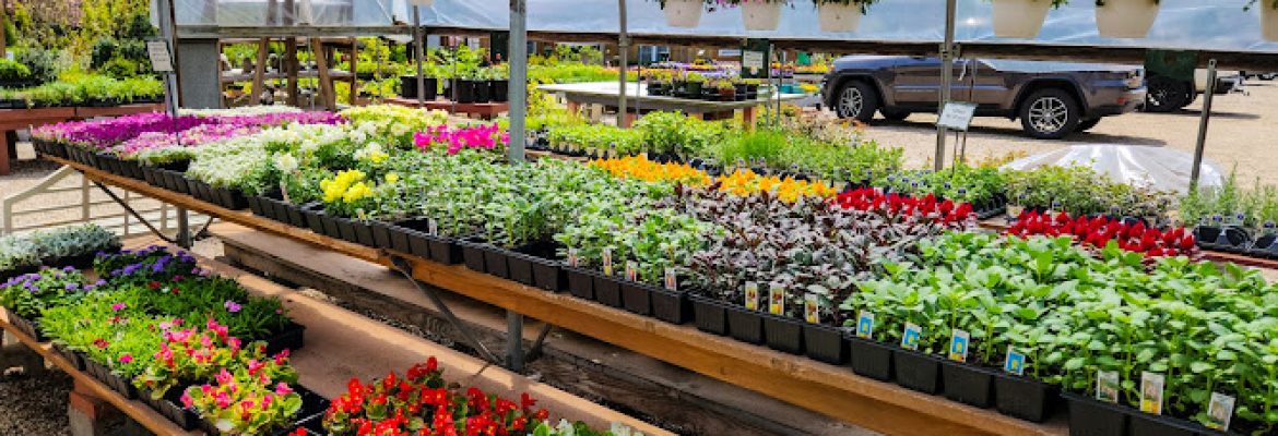 Warner Nursery & Garden Center