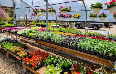 Warner Nursery & Garden Center