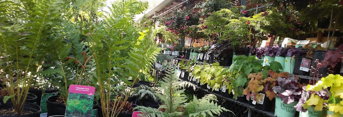 Ganim’s Garden Center and Florist, LLC