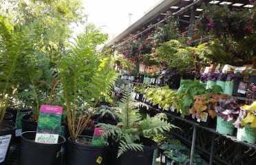 Ganim’s Garden Center and Florist, LLC