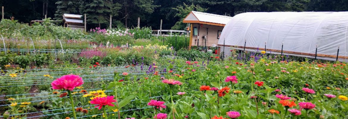 Floral Notes Farm