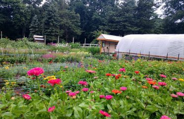 Floral Notes Farm