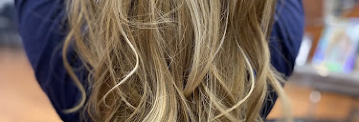 Sally Whelan Hair LLC