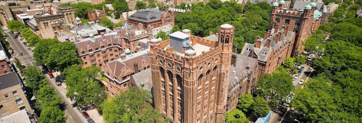 Visit New Haven
