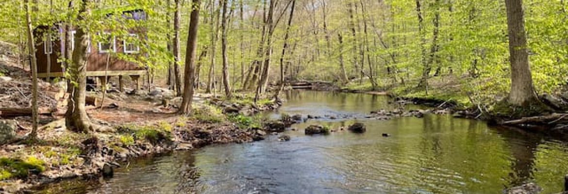 Water Forest Retreat – Tree House Octagon & Hiker’s Haven