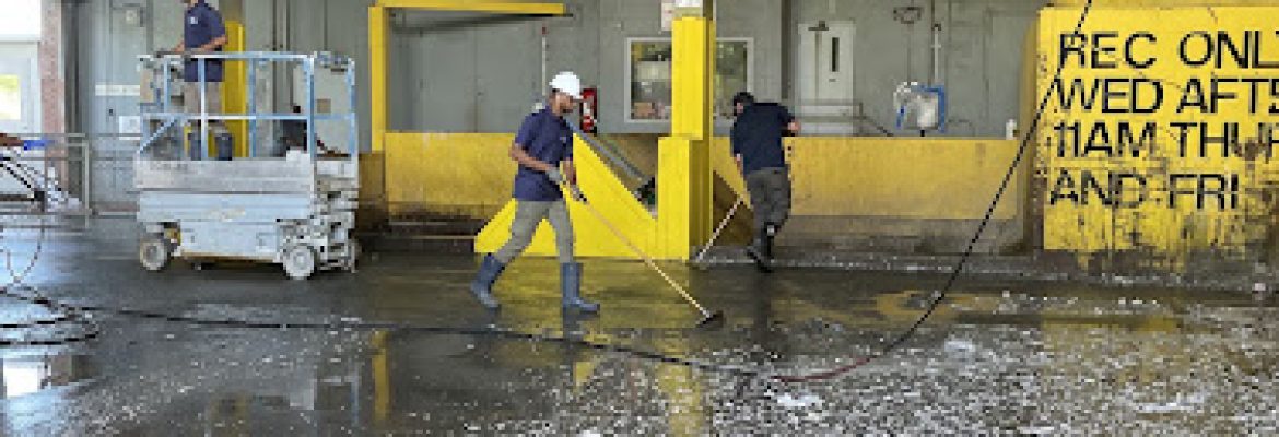 Blue Power Wash
