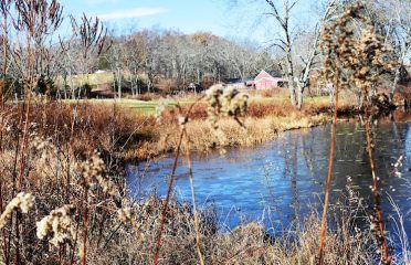 Flanders Nature Center & Land Trust