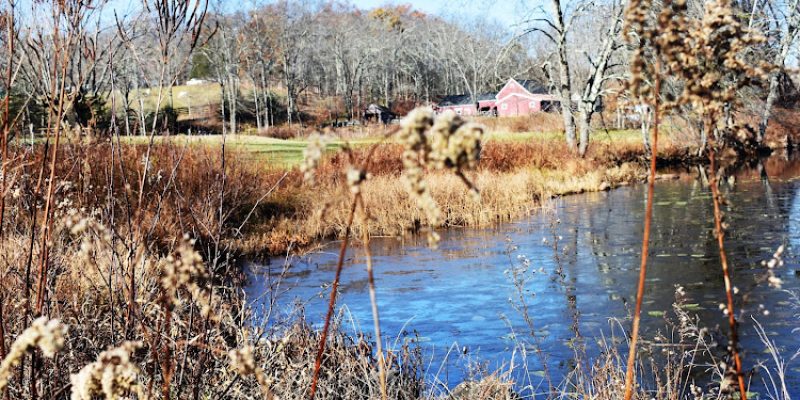 Flanders Nature Center & Land Trust
