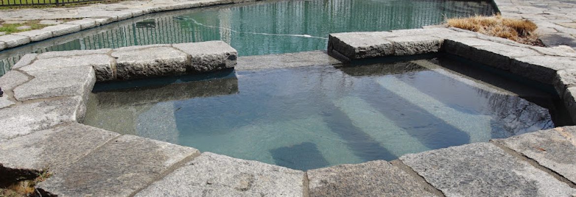 Blue Aqua Pool Service