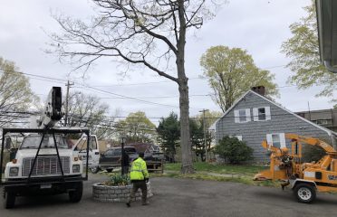 Rana Tree Removal LLC