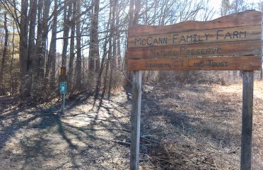 McCann Family Farm