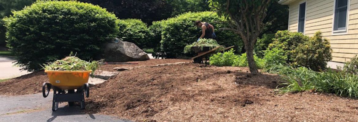 Yello Landscaping