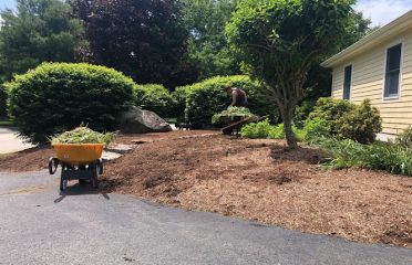Yello Landscaping
