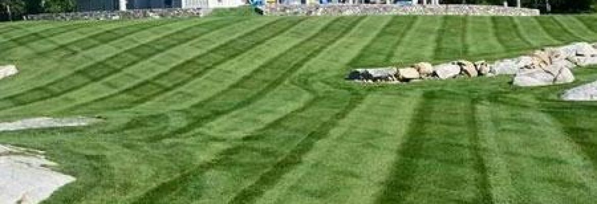 Safe Lawns of Salem