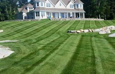 Safe Lawns of Salem