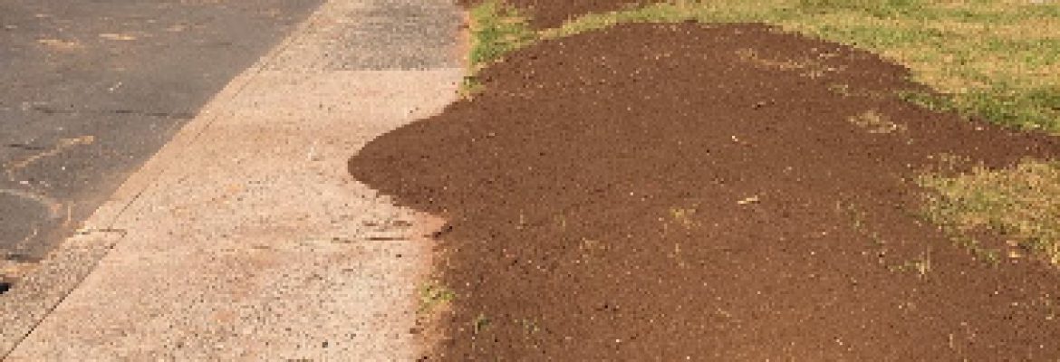Natural Systems Tree Service