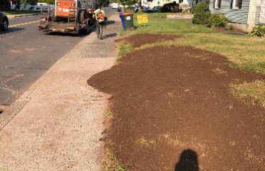 Natural Systems Tree Service