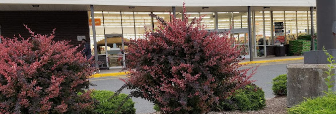 Charter Oak Mall