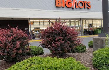 Charter Oak Mall