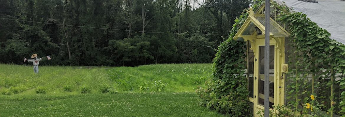 Augustine’s Farm