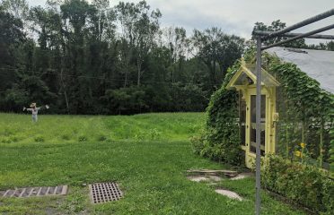 Augustine’s Farm