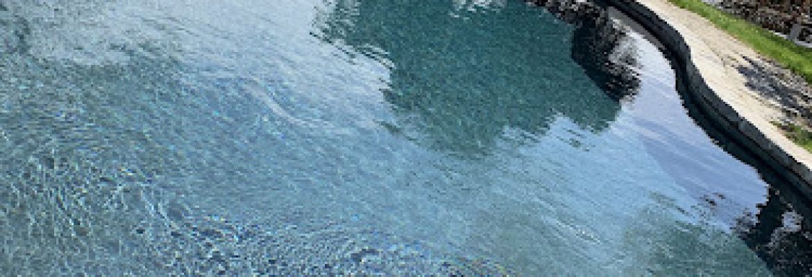 Motta Pool & Patio, LLC