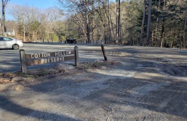 Cotton Hollow Preserve