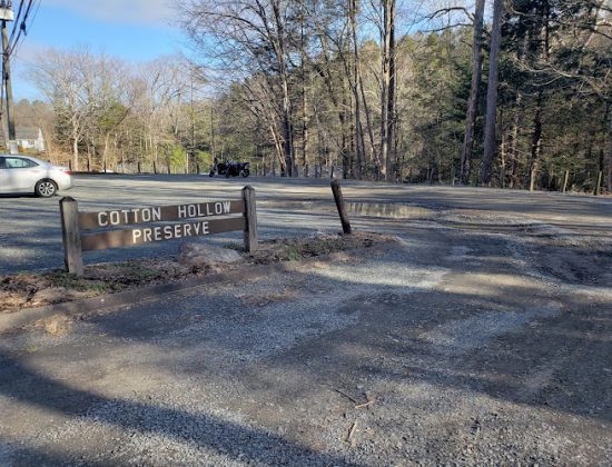 Cotton Hollow Preserve