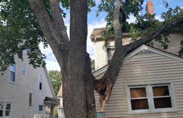 Jorge tree service llc